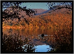 Jezioro, Jesień, Ponton, Krzewy