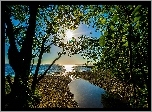 Jezioro, Brzeg, Strumyk, Drzewo, Promienie, Słońca