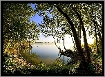 Jezioro, Las, Przebijające, Światło