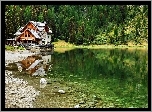 Jezioro, Las, Restauracja, Dom