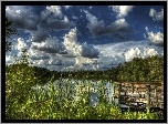 Jezioro, Zachmurzone, Niebo, Pomost, Roślinność, HDR