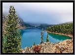 Jezioro, Las, Skały, Kanada