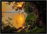 Jezioro, Drzewo, Kamienie, Zachód, Słońca, Roślinność