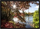 Jezioro, Drzewa, Liście, Promienie, Słońca, Jesień