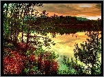 Jezioro, Zachód, Słońca, Lasy