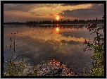 Jezioro, Zachód Słońca, Rośliny