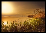 Jezioro, Zachód, Słońca, Trawa