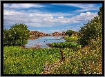 Jezioro, Watson Lake, Chmury, Skały, Drzewa, Łąka, Arizona, Stany Zjednoczone