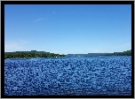Szwecja, Jezioro, Lasy