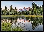 Stany Zjednoczone, Stan Wyoming, Park Narodowy Grand Teton, Rzeka Snake River, Góry Teton Range, Odbicie, Drzewa