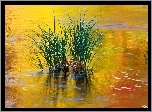 Jezioro, Trawa