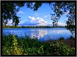 Jezioro, Drzewa, Trawy, Chmury