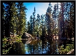 Stany Zjednoczone, Stan Kalifornia, Park Narodowy Yosemite, Góry, Lasy, Jezioro, Kamienie