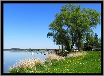 Wiosna, Jezioro, Drzewa