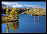 Jezioro, Niebieska, Woda, Drzewa