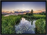 Jezioro, Trawa, Drzewa, Wschód, Słońca