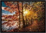 Jezioro, Drzewa, Jesień, Ścieżka, Wschód słońca
