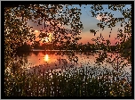Jezioro, Drzewa, Trawy, Wschód, Słońca