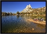 Stany Zjednoczone, Stan Kalifornia, Park Narodowy Yosemite, Jezioro, Góra Cathedral Peak, Drzewa