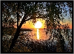 Jezioro, Drzewo, Zachód, Słońca
