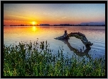 Jezioro, Szuwary, Zachód Słońca