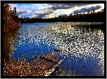 Jezioro, Lasy, Zatopiony, Pomost