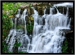 Wodospad, Skały, Kamienie, Rośliny, Chittenango Falls State Park, Nowy Jork