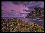 Wyspy Kanaryjskie, Teneryfa, Punta del Hidalgo, Ocean Atlantycki, Góry, Kaktusy