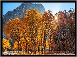 Jesień, Park Narodowy Yosemite, Góry, Drzewa, Promienie słońca, Stan Kalifornia, Stany Zjednoczone
