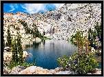 Góry, Sierra Nevada Mountains, Jezioro, Lyons Lake, Drzewa, Sosny, Kalifornia, Stany Zjednoczone