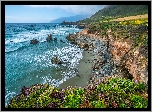 Morze, Wybrzeże, Skały, Kamienie, Rośliny, Kwiaty, Region Big Sur, Kalifornia, Stany Zjednoczone