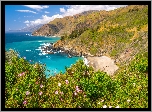 Morze, Góry, Wybrzeże, Plaża, Kwiaty, Chmury, Region Big Sur, Kalifornia, Stany Zjednoczone