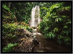 Wodospad, Kamienie, Skała, Las, Roślinność, Wyspa Bali, Indonezja