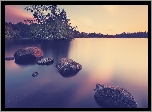 Jezioro, Kamienie, Drzewa
