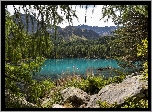 Jezioro, Kamienie, Las