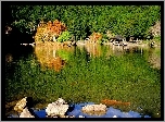Jezioro, Kamienie, Las
