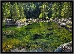 Jezioro, Kamienie, Lasy