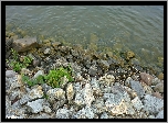 Kamienie, Jezioro