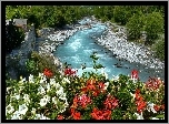 Rzeka, Kamienie, Kwiaty
