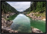 Rzeka, Kamienie, Las