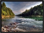 Rzeka, Kamienie, Las