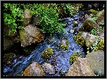 Kamienie, Mech, Woda, Strumyk, Rośliny
