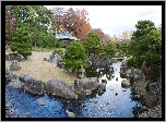 Woda, Kamienie, Drzewa