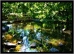 Polska, Gdańsk, Park Oliwski im. Adama Mickiewicza, Mostek, Strumyk