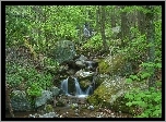 Wodospad, Kamienie, Las