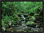 Wodospad, Kamienie, Las
