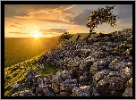 Wzgórza, Park Narodowy Yorkshire Dales, Drzewa, Kamienie, Wschód słońca, Chmury, Anglia