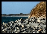 Kamienie, Wybrzeże