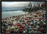Kamienie, Wybrzeże