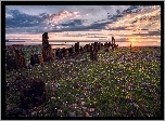 Kamienista, Plaża, Jezioro, Wschód, Słońca, Pale